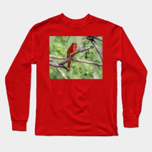 Brilliant Red Northern Cardinal Long Sleeve T-Shirt